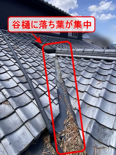 落ち葉よけ　ネット　竹の葉　豊川市　谷樋